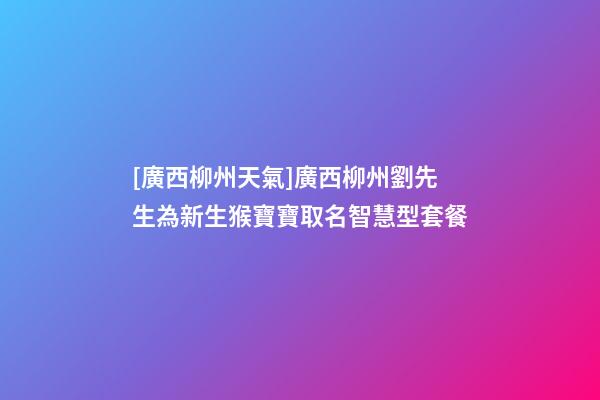 [廣西柳州天氣]廣西柳州劉先生為新生猴寶寶取名智慧型套餐-第1張-公司起名-玄機派